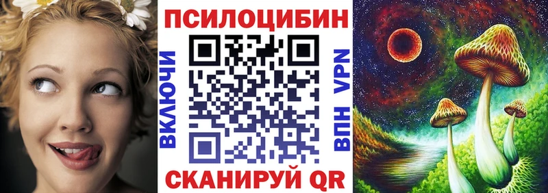 блэк спрут как зайти  где купить   Елизово  Галлюциногенные грибы ЛСД 